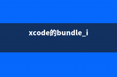 xcode的bundle identifier修改