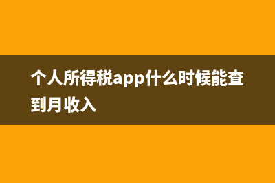 個人所得稅app什么作用 (個人所得稅app什么時候能查到月收入)