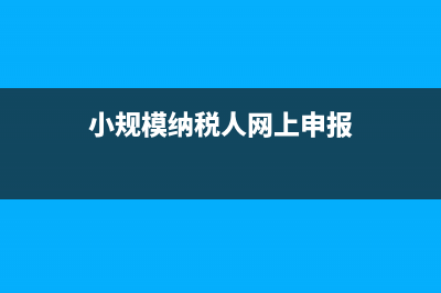 小規(guī)模納稅人網(wǎng)上零申報(bào)怎么操作？ (小規(guī)模納稅人網(wǎng)上申報(bào))