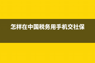 在稅務(wù)app上交社保怎么交？ (怎樣在中國(guó)稅務(wù)用手機(jī)交社保)