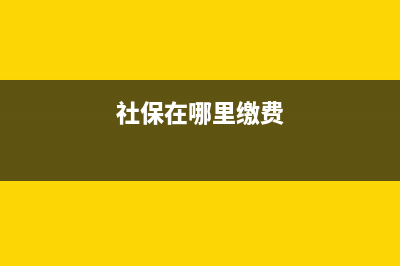 社?？梢越蝗U嗎？ (社保在哪里繳費)