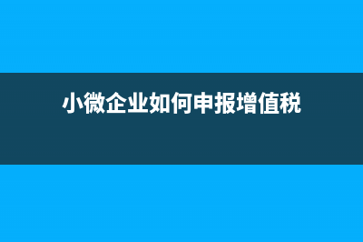 小微企業(yè)如何申報(bào)？ (小微企業(yè)如何申報(bào)增值稅)