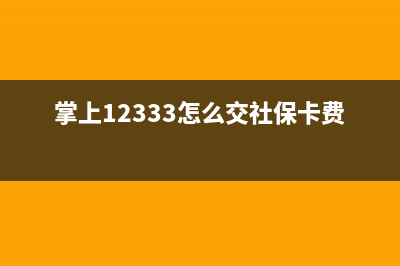 掌上12333怎么交社保？ (掌上12333怎么交社?？ㄙM(fèi)用)