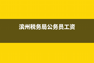 濱州國稅局工資待遇(天津市濱海新區(qū)稅務(wù)局公務(wù)員待遇) (濱州稅務(wù)局公務(wù)員工資)