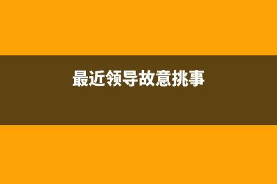 最近領(lǐng)導(dǎo)故意挑我的問題，想讓我自動(dòng)離職，我 (最近領(lǐng)導(dǎo)故意挑事)