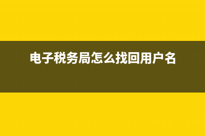 電子稅務(wù)局遺失補(bǔ)辦網(wǎng)址(電子稅務(wù)局如何補(bǔ)繳稅款) (電子稅務(wù)局怎么找回用戶名)