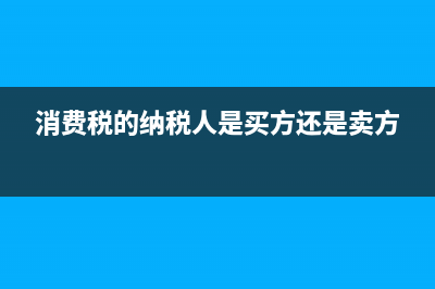 消費稅的納稅人不繳納消費稅的內容？ (消費稅的納稅人是買方還是賣方)